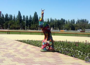 Павлин большой