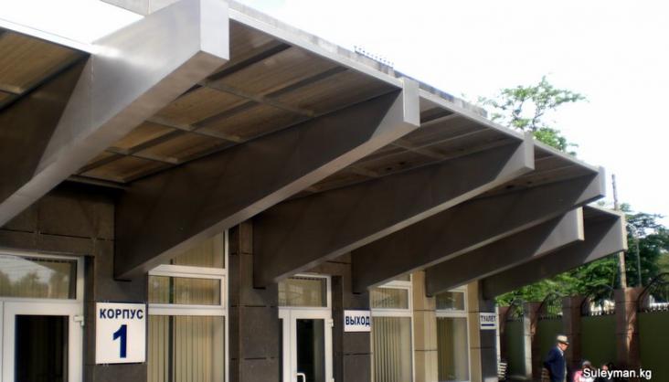 Козырек навес в Бишкеке заказать купить.