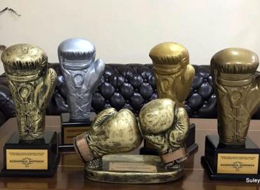 Кубки награды