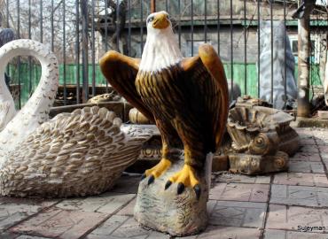 Беркут маленький