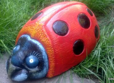 Божья коровка